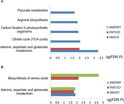 Effects of Early Intervention With Maternal Fecal Bacteria and Antibiotics on Liver Metabolome and Transcription in Neonatal Pigs